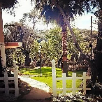 Galata 厄吕代尼兹